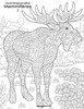 Livre De Coloriage Pour Adultes Mammifères 2