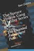 The Spruce Hollow Gang Thriller Series The Haunted Amusement Park