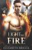 Light The Fire : A Reverse Harem Fantasy