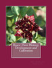 Roses : Their History, Development And Cultivation