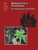 Wildland Fire In Ecosystems Fire And Nonnative Invasive Plants