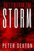 Shelter From The Storm