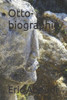 Otto-Biographie