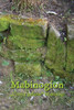 Mabinogion : Cztery Galezie Mabinogi