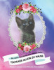 Tschuggi Allein Zu Hause : Die Wahre Geschichte Einer Kleinen Katze