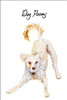 Dog Poems
