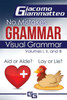 Visual Grammar : No Mistakes Grammar, Volume Iv