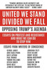United We Stand Divided We Fall : Opposing Trump'S Agenda: Essays On Protest And Resistance And What We Can Do To Stop Him