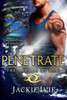 Penetrate : The Portals Of Time