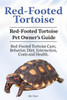 Red-Footed Tortoise. Red-Footed Tortoise Pet Owner'S Guide. Red-Footed Tortoise Care, Behavior, Diet, Interaction, Costs And Health.