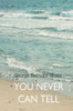 You Never Can Tell