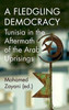 A Fledgling Democracy: Tunisia In The Aftermath Of The Arab Uprisings
