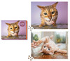 Cats On Catnip 2-In-1 Double-Sided 1,000-Piece Puzzle