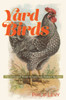 Yard Birds: The Lives And Times Of AmericaS Urban Chickens