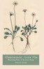 Wordsworth After War: Recovering Peace In The Later Poetry (Cambridge Studies In Romanticism)