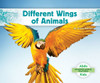 Different Wings Of Animals (Amazing Animal Features)