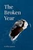 The Broken Year: A Book Of Divorce Poetry.
