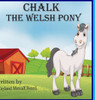 Chalk, The Welsh Pony: Based On A True Story
