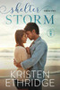 Shelter from the Storm - 9781953925008