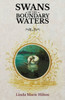 Swans Of The Boundary Waters