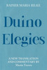 Duino Elegies: A New Translation And Commentary (Studies In German Literature Linguistics And Culture, 233)