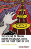 The Healing Of Trauma During Pregnancy, Birth, And The First Years Of Life: From Dreaming To Being (Psychoanalytic Studies: Clinical, Social, And Cultural Contexts)