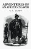 Adventures Of An African Slaver: Captain Theodore Canot