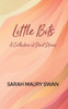 Little Bits: A Collection Of Short Stories