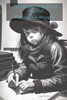 The Adventures Of The Girl Detective: The Mystery Of The Missing Cat