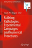 Building Pathologies: Experimental Campaigns And Numerical Procedures (Building Pathology And Rehabilitation, 25)