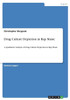 Drug Culture Depiction In Rap Music: A Qualitative Analysis Of Drug Culture Depiction In Rap Music