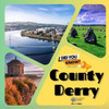 County Derry: A Journey Through Ireland's Northern Heartland