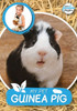 My Pet Guinea Pig (Booklife Freedom Readers)