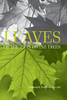 Leaves Of The Twin Divine Trees