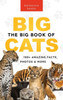 The Big Book Of Big Cats: 100+ Amazing Facts About Lions, Tigers, Leopards, Snow Leopards & Jaguars (Animal Books For Kids)