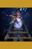 Seven Secret Stones: The Courage to Stand