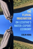 Fluvial Imagination (Critical Environments: Nature, Science, and Politics) (Volume 12)