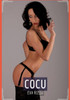 Cocu: Histoire Erotique Hard en Français de Passion Interdite (French Edition)