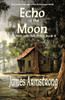 Echo of the Moon (The Will and the Wisp)