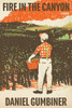 Fire in the Canyon: A Novel