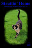 Struttin' Home: autobiography of a blues singin' stray cat
