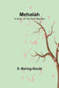 Mehalah: A Story of the Salt Marshes