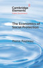 The Economics of Social Protection (Elements in Public Economics)