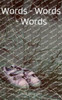Words - Words -Words