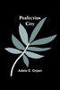 Perfection City