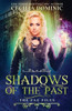 Shadows Of The Past: An Urban Fantasy Thriller (The Fae Files)