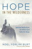Hope In The Wilderness: Spiritual Reflections For When God Feels Far Away