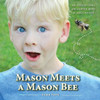 Mason Meets A Mason Bee: An Educational Encounter With A Pollinator