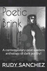 Poetic Brink: A contemporary-post modern anthology of dark poetry!