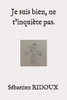 Je suis bien, ne t'inquiete pas. (French Edition)